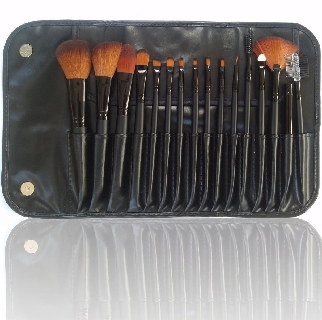 LyDia 16pcs Black Makeup Brush Set with Case Colour Zone Cosmetics